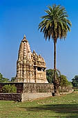 Khajuraho - Javari temple 